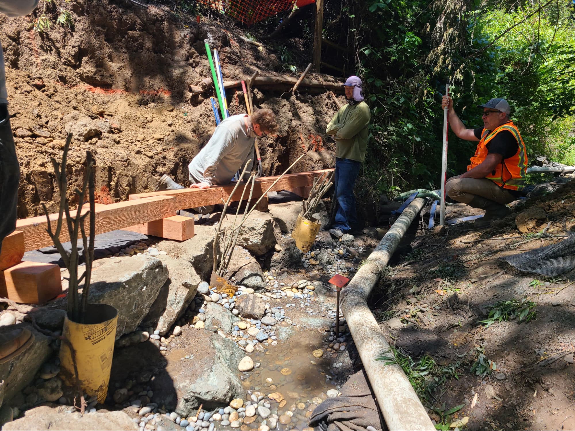 Adobe Creek in Los Altos Hills