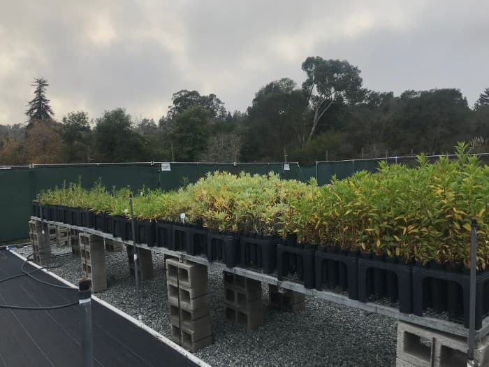 Best Management Practice Success at CCW