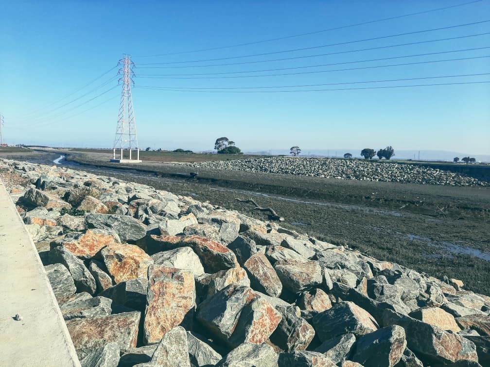 A Changing Tide: San Francisquito Creek Project